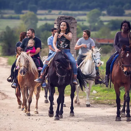 аугуста Хотел 3*